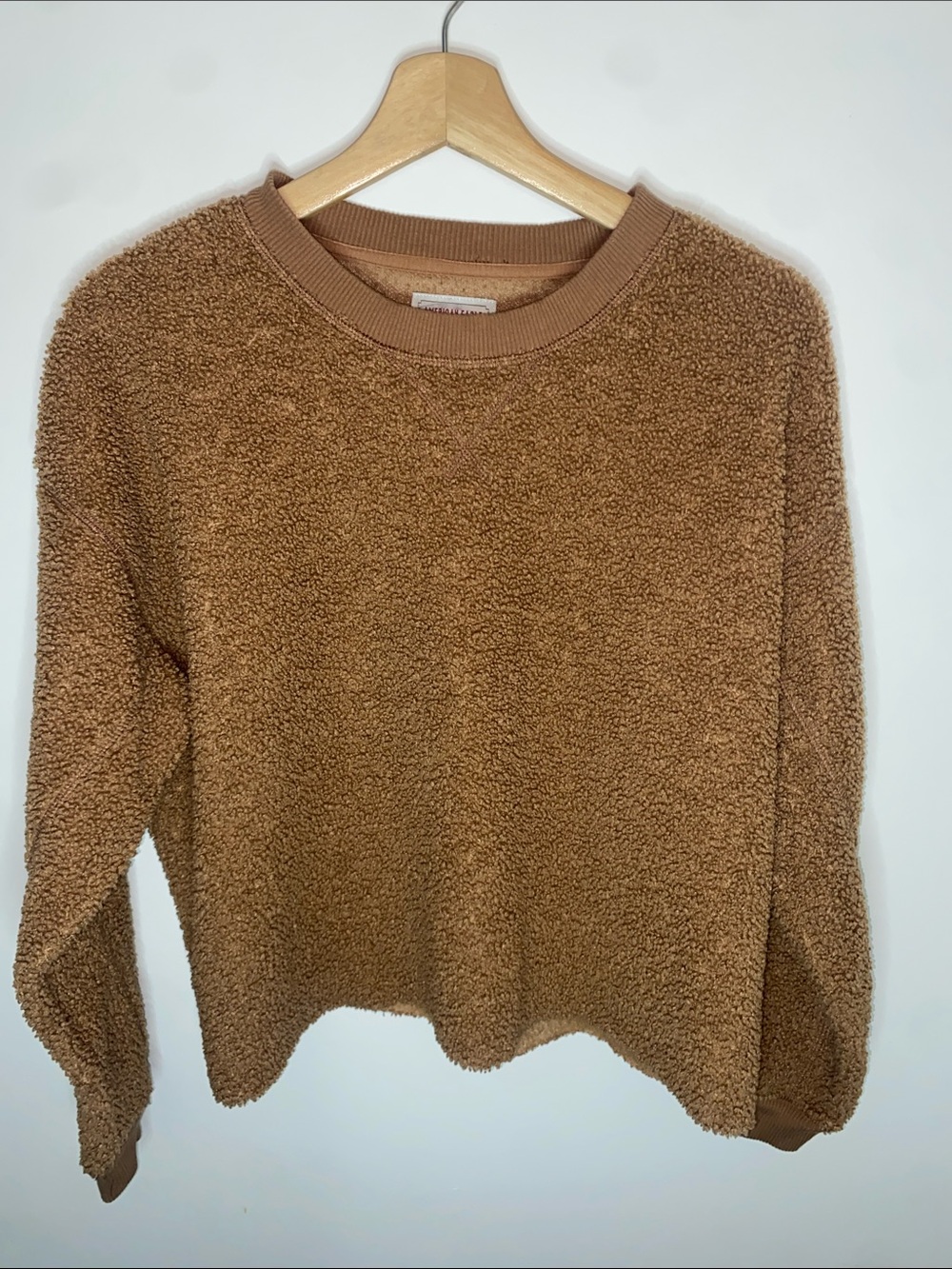 American Eagle Outfitters Teddy Crewneck Sweater in Camel